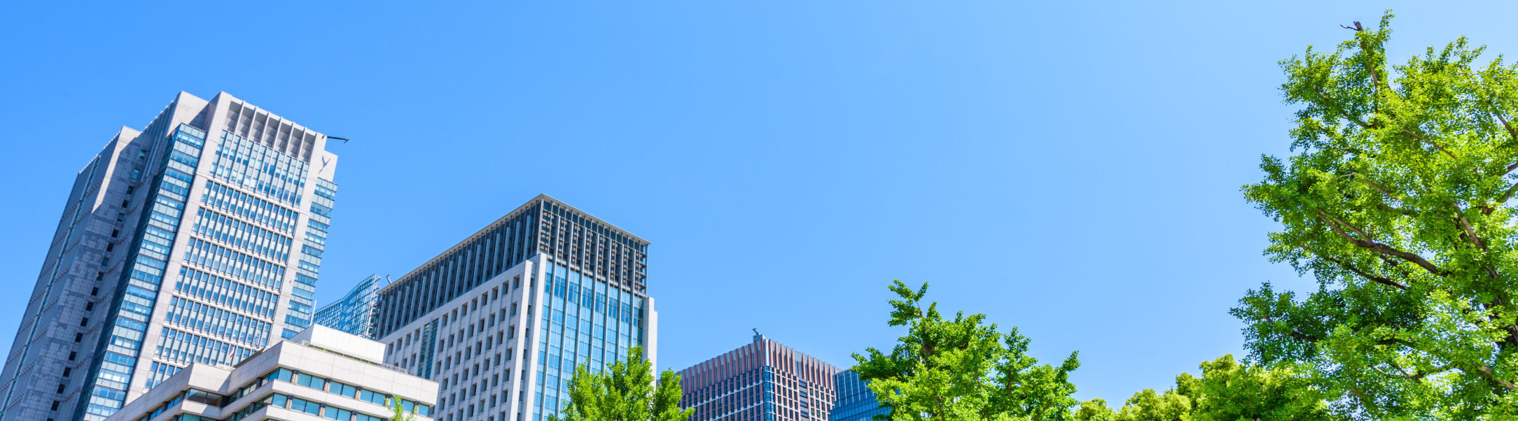 COMPANY|トップワンは愛知・岐阜を中心に展開するディスカウントスーパーです